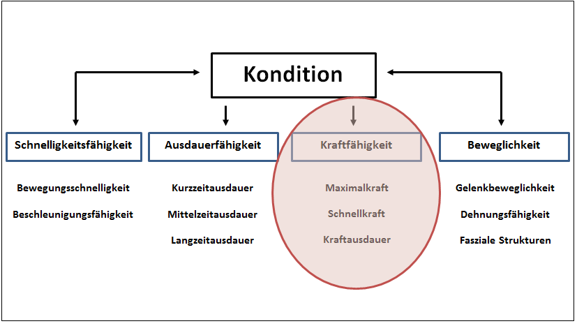 Grafik Kondition_kraftfokus